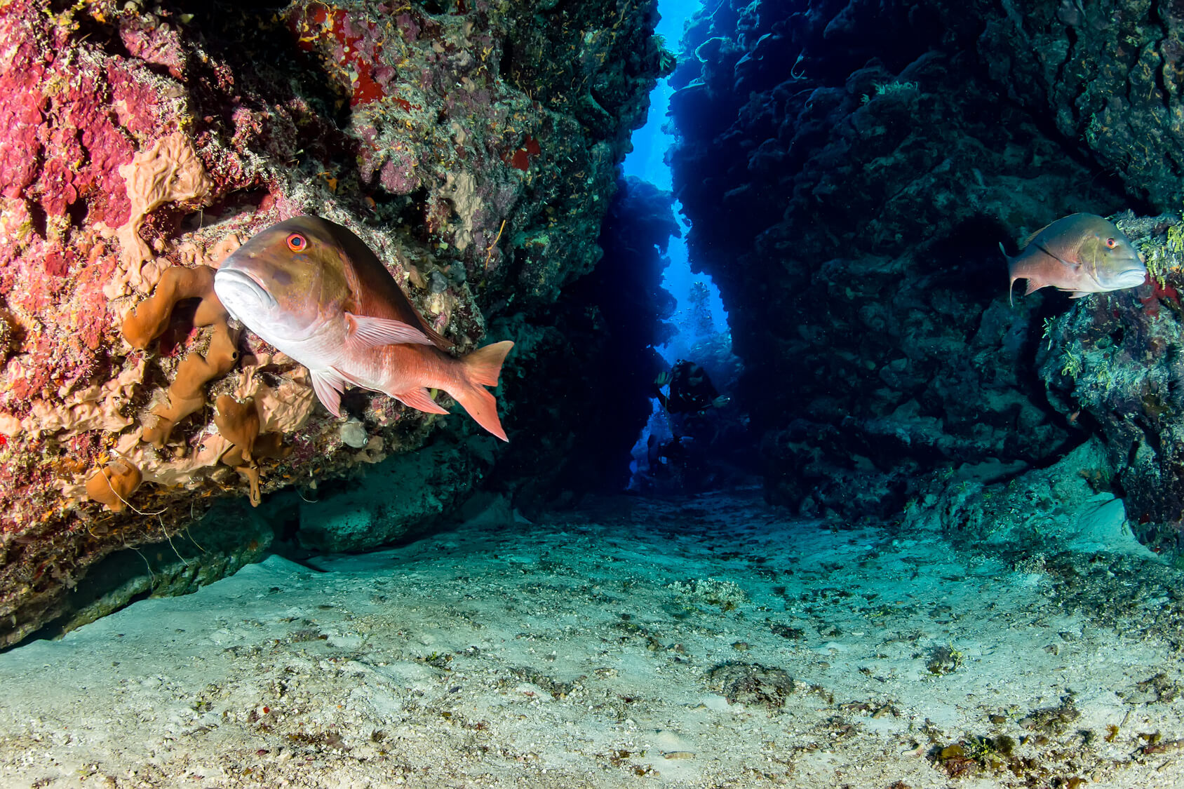 Fossas oceânicas: profundidade ao extremo