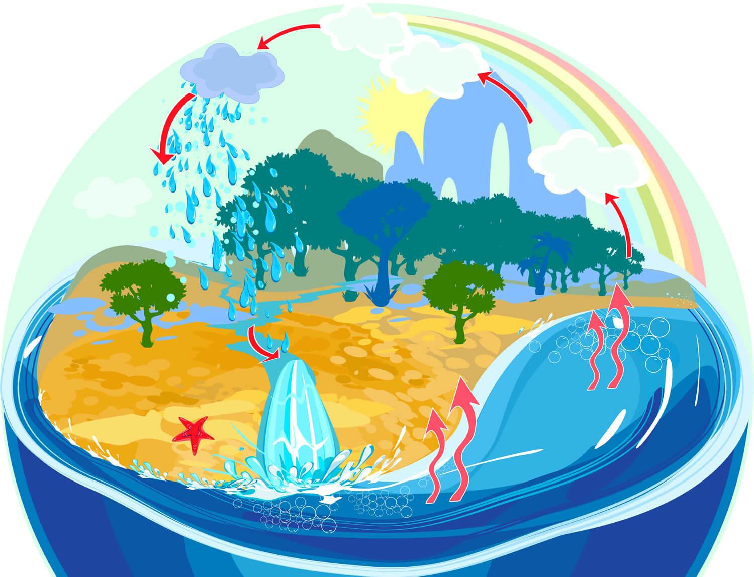 Resultado de imagem para ciclo da agua
